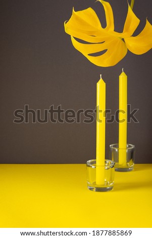 Yellow leaf of a home flower Monstera close-up illuminated and candles in candlesticks on a trendy gray-yellow background, trendy colors of the year