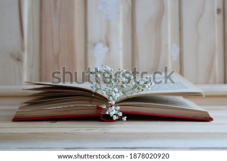 flowers budding among the opened book