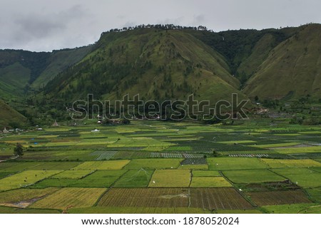 rice fields under the foothills of the village of Sianjur at first                    