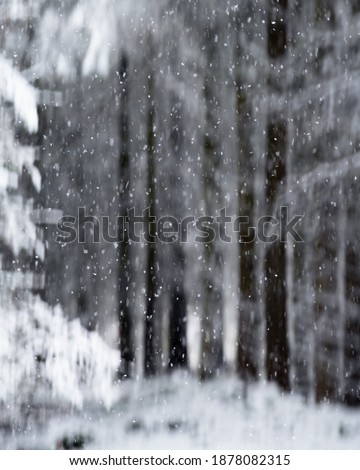 Falling snow in a cold Winter woodland with blurred background intentional camera movement.