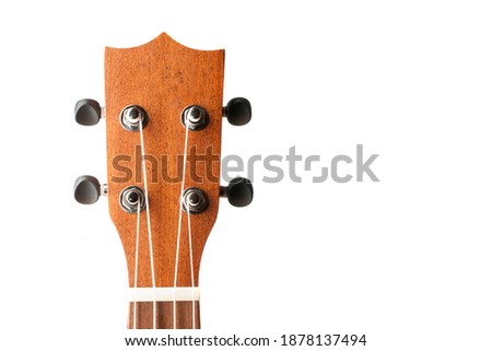 Mahohany ukulele headstock isolated on white background