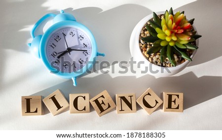 LICENSE word made from building blocks on white background, near cactus and alarm clock