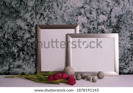 red tulips in a glass vase, gray photo frames and decor on a gray background on the table