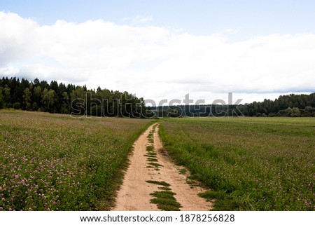Country road through a field with clover, simple rural landscape
