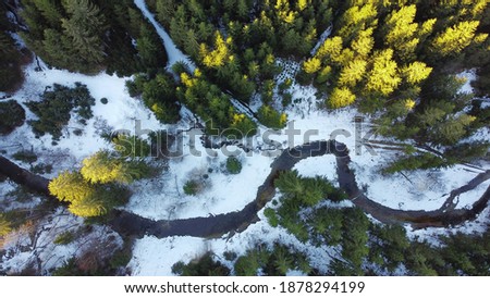 Drone photo of forest with stream in winter with light and shadow