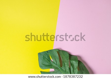 Green leaf on a geometric background. Colored background. Background for design, lettering or logo.
