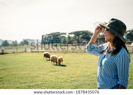 Female farmer working and looking on Sheep farm.,Agriculture mature female farmer standing against Sheep in stable or farm countryside.