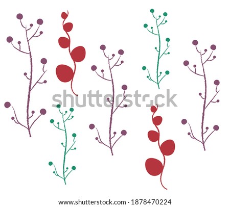 Botanical vector illustration. Graphic design elements for your logotype and identety