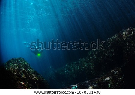 Under water scuba diver photo