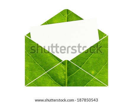 Open envelope with blank paper made of green leaf isolated on white background