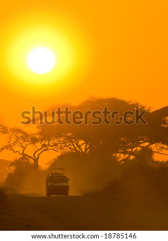 safari jeep driving through savannah in the sunset