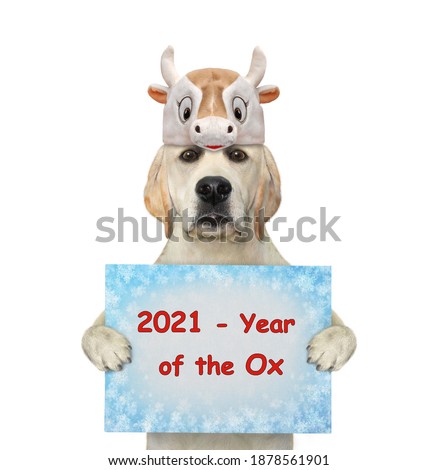 A dog in an ox hat holds a holiday sign. White background. Isolated.