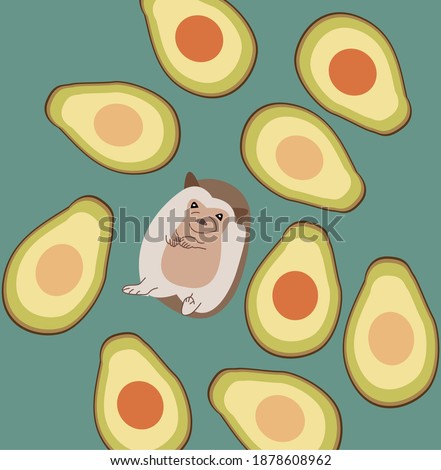Cute image vector illustration of adorable hedgehog isolated with avocado. Hand drawing hedgehog for greeting card, decor for nursery baby and kids room. Wallpaper, apparel, invitation, poster