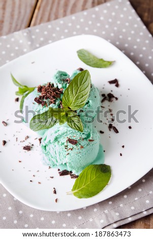 Mint ice cream with chocolate chips on the white plate