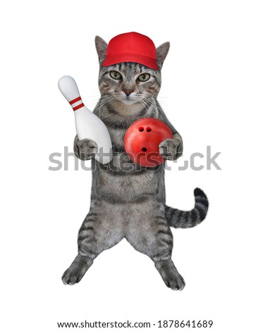 A gray cat bowler in a cap holds a bowling pin and a red ball. White background. Isolated.