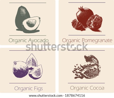 Exotic fruits sketch lettering, farm market, vegeterian and organic healthy food. Vector calligraphy, logo with fig, pomegranate, avocado, cocoa