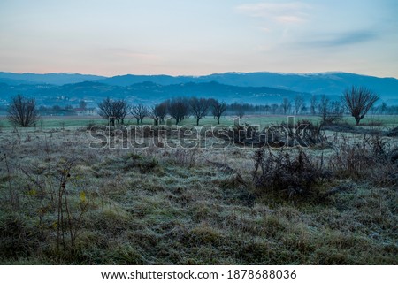 frost in the frozen fields and the hills of Marostica in the background, Colceresa, Vicenza, Italy