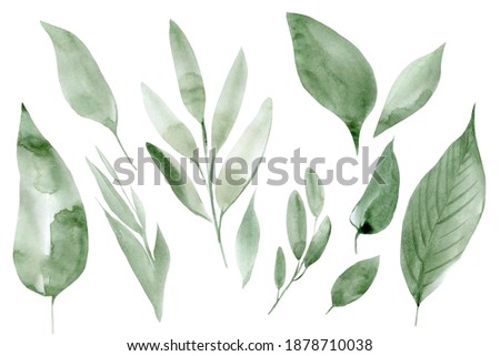 green abstract leaves, watercolor elements on a white background, sketch drawing