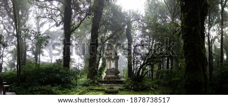 shrine in the cloud forest on the highest mountain of Thailand - Doi Inthanon - pano HDR picture 