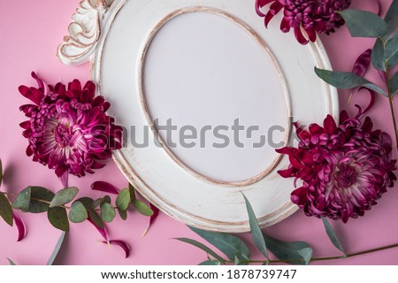 a burgundy chrysanthemum bud in a composition with a frame. on a pink background . space for text