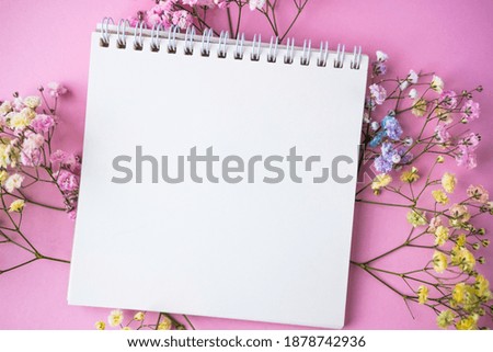 a sprig of colored gypsophila and a white sheet of notepad . space for text
