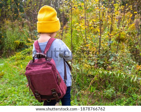 The toddler turned back with backpack standing in a fall forest