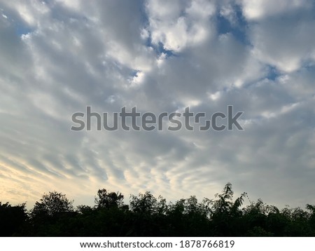 Background altocumulus clouds gray skies line up in the sky gathered together may allow light to pass through beautiful and unusual in the morning at Thailand. No focus