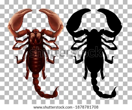 Scorpion on transparent background illustration