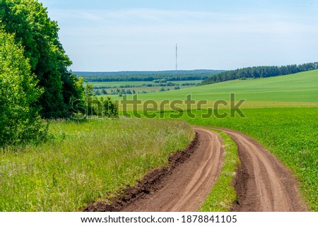 summer landscape, dirt road from chernozem, blue cloudless sky, green clover of alfalfa, a walk along the European part of the earth