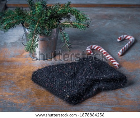 Women's knitted headband for cold weather and a bucket with fir branches