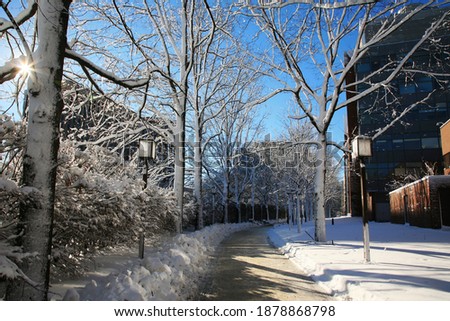 Loughrey Walkway And Bike Path after snow in winter in Cambridge, MA