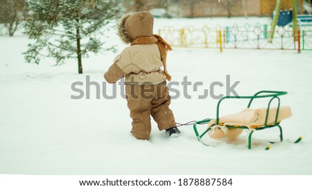 a small child rolls a sled in winter in daylight.View from the back                           