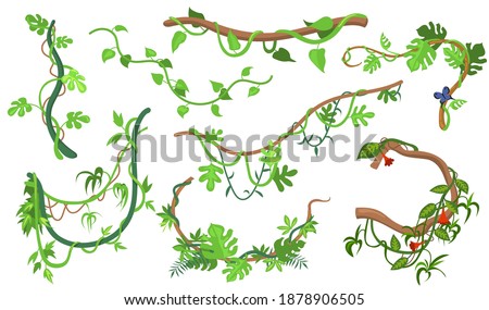 Colorful liana or jungle plant flat set for web design. cartoon climbing twigs of tropical vines and trees isolated vector illustration collection Royalty-Free Stock Photo #1878906505