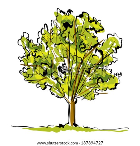 Green hand drawn tree on white background, simple illustration.