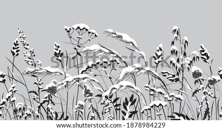 Seamless horizontal border with snow covered meadow plants. Monochrome wild herbs, cereals under the snow. Winter pattern with grass silhouette in row. Black, white and gray color vector illustration.