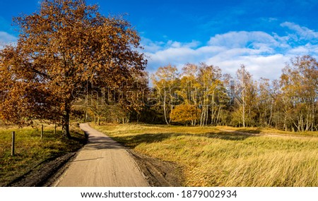 autumnal november photography of an idyllic pathway in boberger niederung nature reserve hamburg, germany