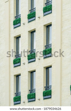 closeup of some plant in window, architecture detail