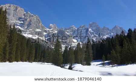 Rolle Pass - Snowy landscapes - Pale di San Martino