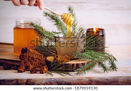 Spruce and pine needle tea with chaga mushroom Inonotus obliquus powder and honey. Tree branches and pieces of Chaga for decoration. Indoors home, healthy full of vitamin C. Royalty-Free Stock Photo #1879059130