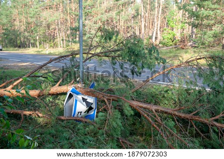 a broken sign under a fallen tree