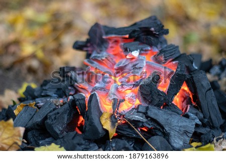 Coal on fire in this picture we are preparing fire to make a food and i took that picture of the moment when the coal was in fire