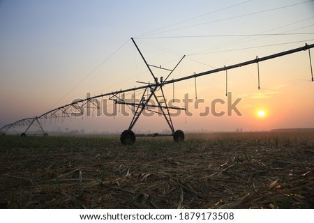 A large machine is watering the crops automatically.