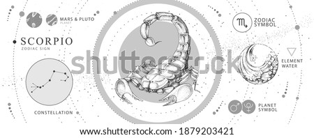 Modern magic witchcraft card with astrology Scorpio zodiac sign. Realistic hand drawing scorpion illustration. Zodiac characteristic Royalty-Free Stock Photo #1879203421