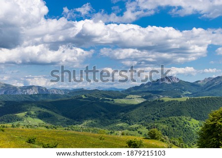 Mountain scenery in the summer