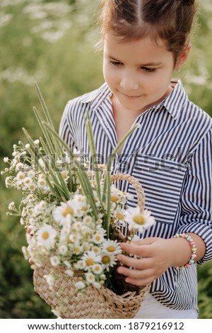 Kid Girl Holding Basket with Chamomiles Flowers Close-up Photo. Child Hold Wicker Bag with Wildflowers and Natural Green Grass Stay on Country Field. Style Clothes and Bracelet Wearing Baby