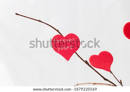 Close up view of red heart above white background. Valentine's day and wedding concept