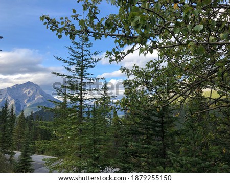 nature in Banff national park