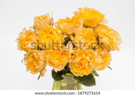 The bouquet of orange roses are in the vase of old green glass on white background. Copy space