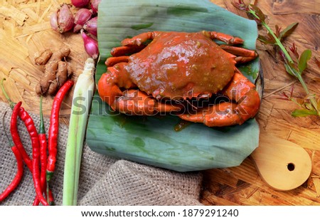 Kepiting saus padang or Padang sauce crab, traditional food from indonesia Royalty-Free Stock Photo #1879291240
