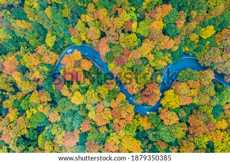 Panoramic view of peak fall foliage in Smugglers Notch, Vermont. Royalty-Free Stock Photo #1879350385